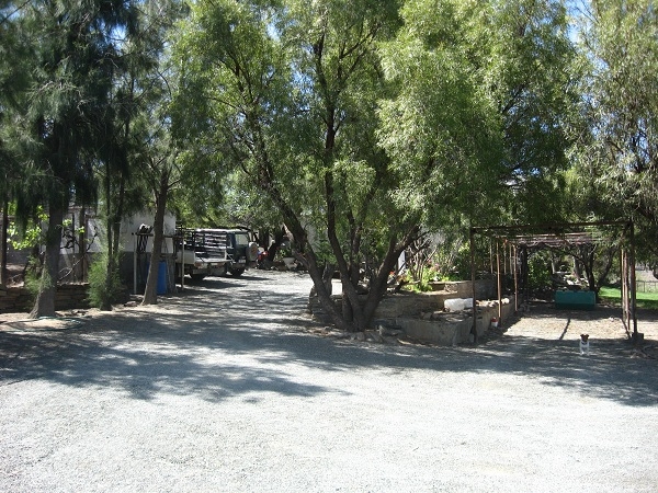 phoca_thumb_l_wilgerbos-3