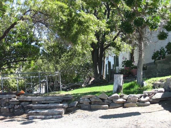 phoca_thumb_l_wilgerbos